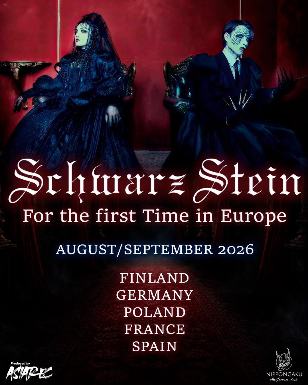 Schwarz Stein Europe Tour poster
